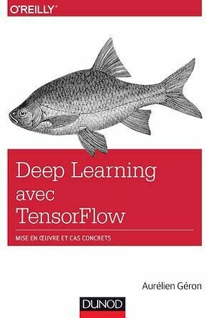 Deep Learning avec TensorFlow - Aurélien Géron - Dunod