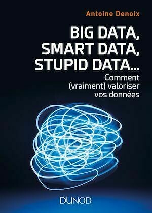 Big Data, Smart Data, Stupid Data... - Antoine Denoix - Dunod