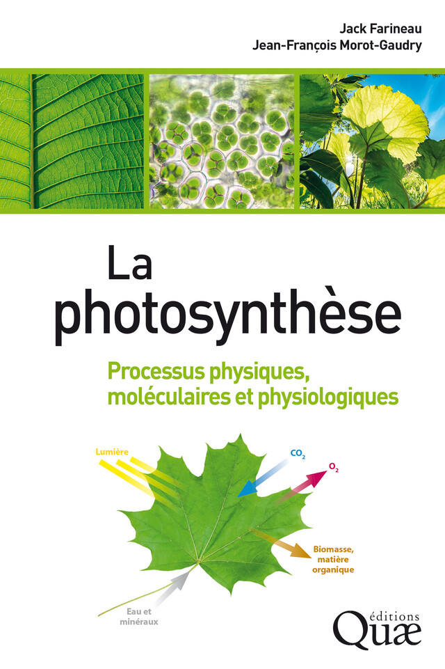La photosynthèse - Jack Farineau, Jean-François Morot-Gaudry - Quæ