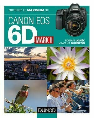 Obtenez le maximum du Canon EOS 6D Mark II - Vincent Burgeon, Ronan Loaëc - Dunod