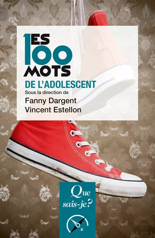 Les 100 mots de l'adolescent - Vincent Estellon, Fanny Dargent - Humensis