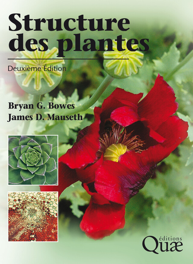 Structure des plantes - Bryan G. Bowes, James D. Mauseth - Quæ