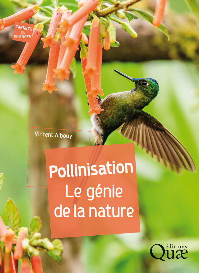 Pollinisation - Vincent Albouy - Quæ