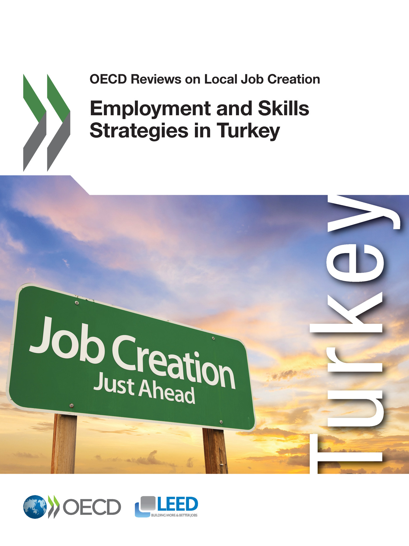 Employment and Skills Strategies in Turkey -  Collectif - OCDE / OECD