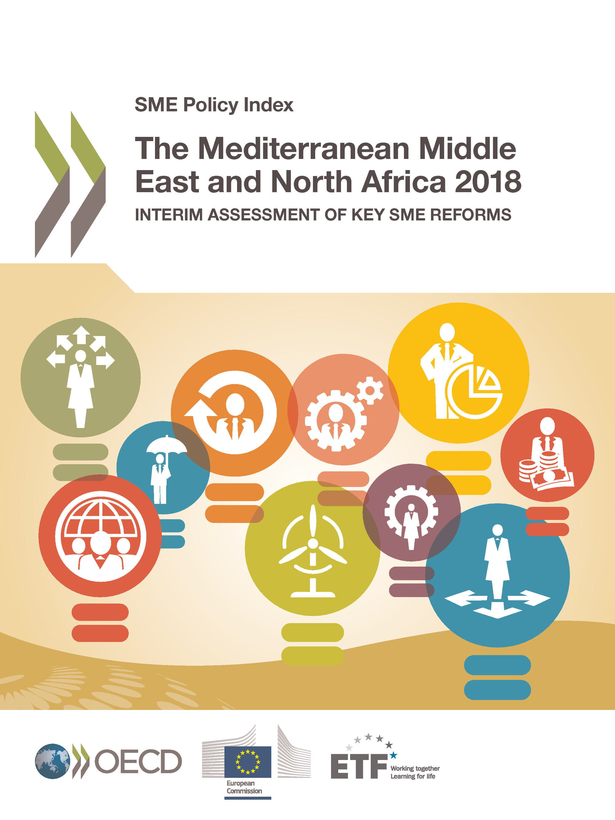 The Mediterranean Middle East and North Africa 2018 -  Collectif - OCDE / OECD