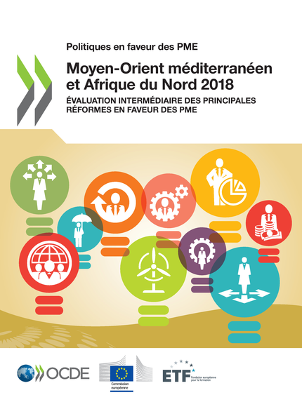 Politiques en faveur des PME : Moyen-Orient méditerranéen et Afrique du Nord 2018 -  Collectif - OCDE / OECD