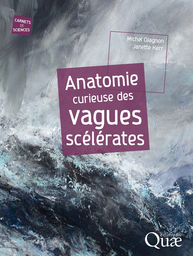 Anatomie curieuse des vagues scélérates - Michel Olagnon, Janette Kerr - Quæ