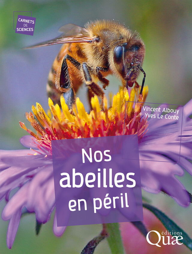 Nos abeilles en péril - Vincent Albouy, Yves le Conte - Quæ