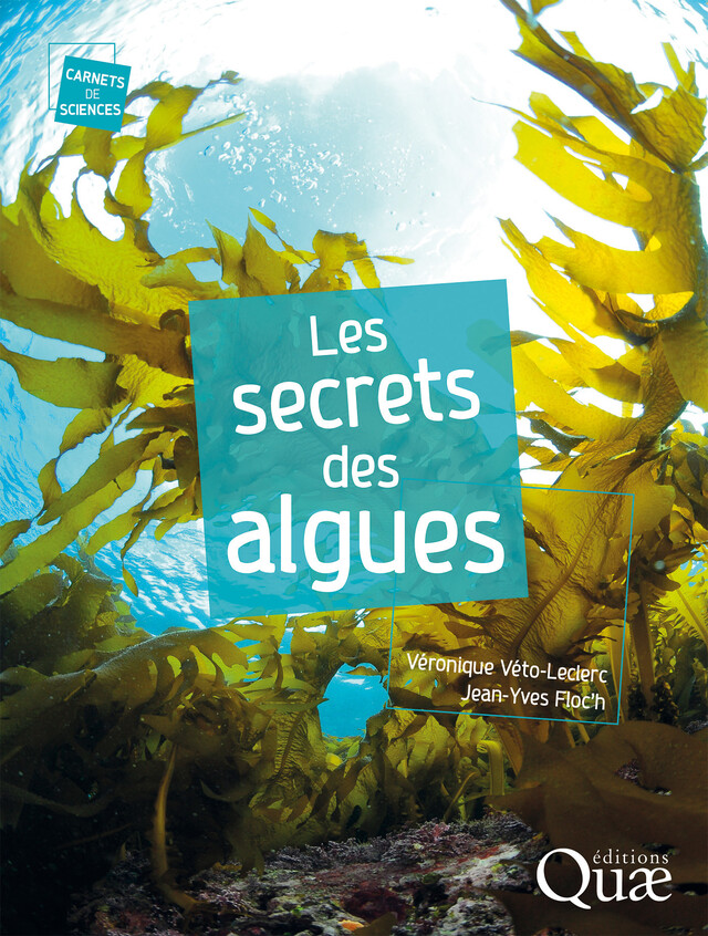 Les secrets des algues - Véronique Véto-Leclerc, Jean-Yves Floc’H - Quæ