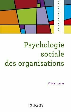 Psychologie sociale des organisations - 4e éd. - Claude Louche - Dunod
