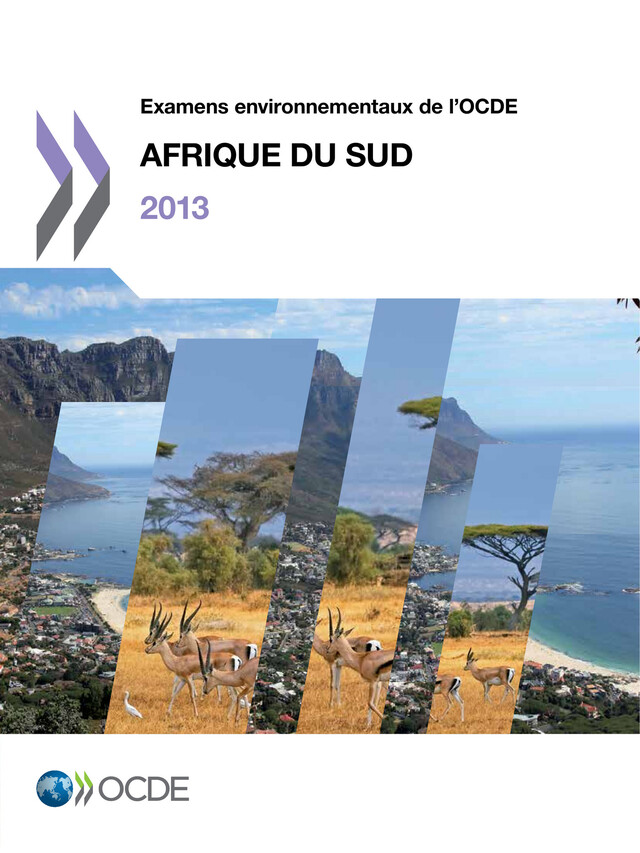 Examens environnementaux de l'OCDE : Afrique du Sud 2013 -  Collectif - OCDE / OECD