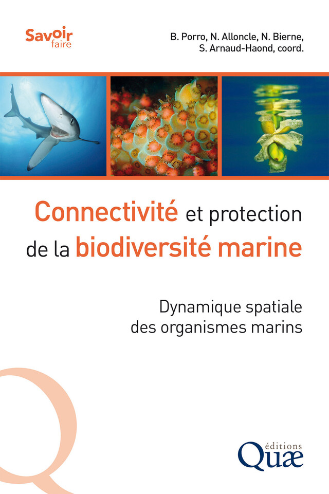 Connectivité et protection de la biodiversité marine - Barbara Porro, Neil Alloncle, Nicolas Bierne, Sophie Arnaud-Haon - Quæ