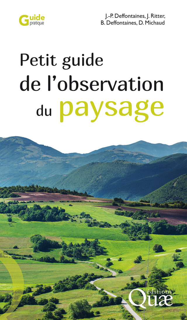 Petit guide de l'observation du paysage - Jean-Pierre Deffontaines, Jean Ritter, Benoit Deffontaines, Denis Michaud - Quæ