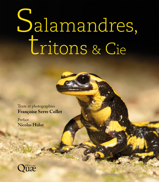 Salamandres, tritons & Cie - Françoise Serre Collet - Quæ