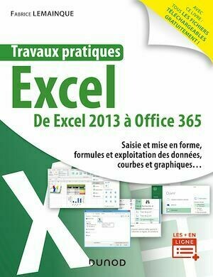 Travaux pratiques - Excel - Toutes versions 2013 à 2019 et Office 365 - Fabrice Lemainque - Dunod