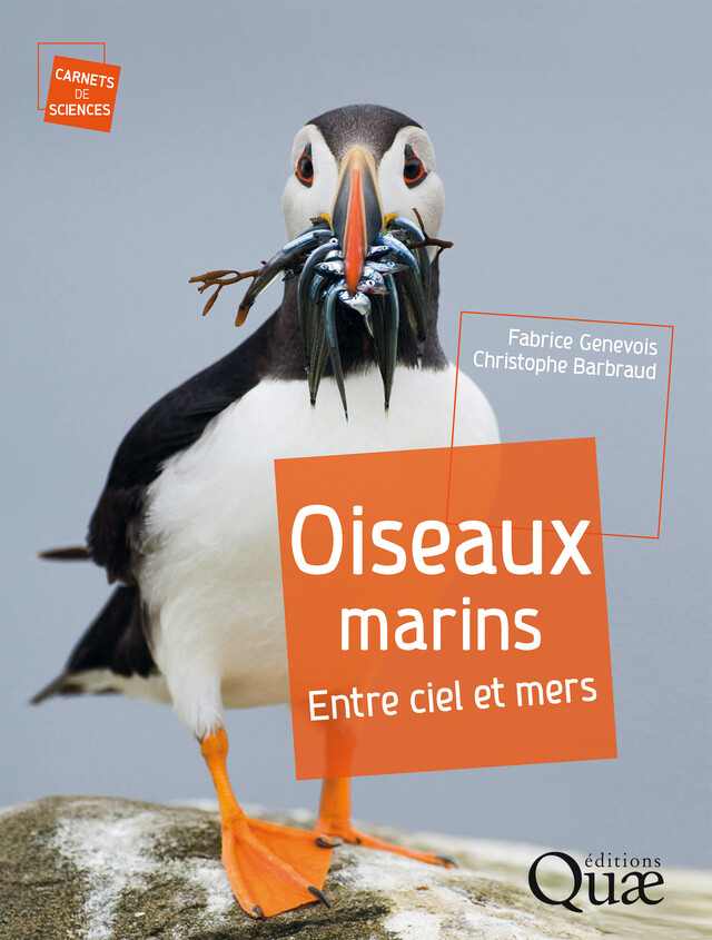 Oiseaux marins - Fabrice Genevois - Quæ