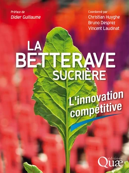 La betterave sucrière