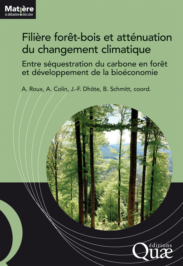 Filière forêt-bois et atténuation du changement climatique - Alice Roux, Antoine Colin, Jean-François Dhôte, Bertrand Schmitt - Quæ