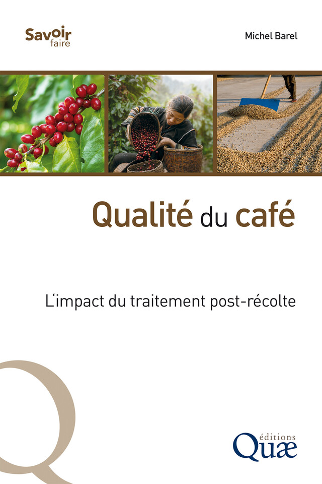 Qualité du café - Michel Barel - Quæ