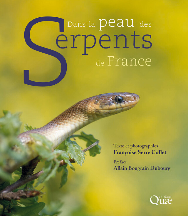 Dans la peau des serpents de France - Françoise Serre Collet, Allain Bougrain Dubourg - Quæ