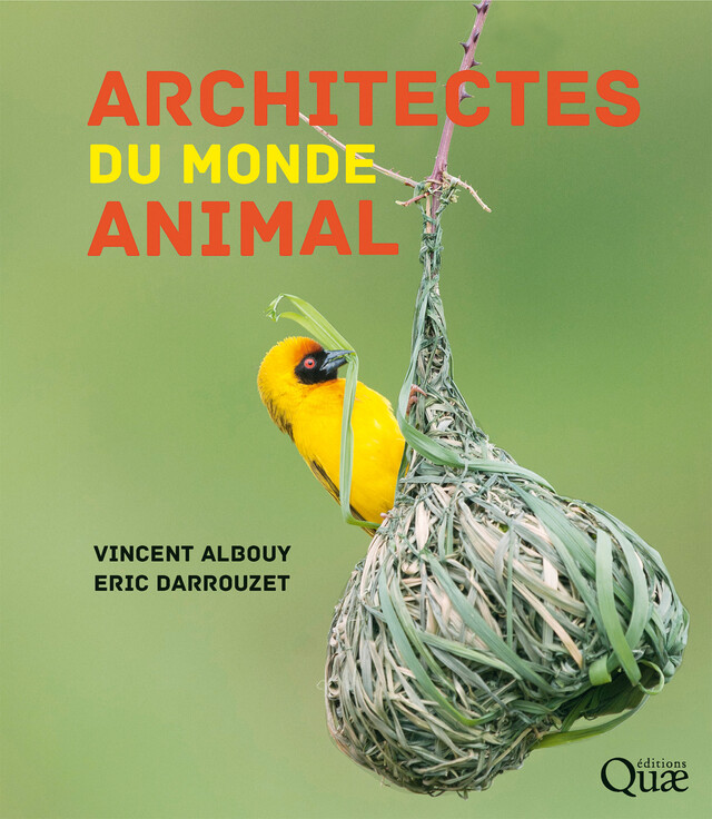 Architectes du monde animal - Vincent Albouy, Eric Darrouzet - Quæ