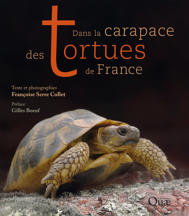 Dans la carapace des tortues de France - Françoise Serre Collet, Gilles Boeuf - Quæ