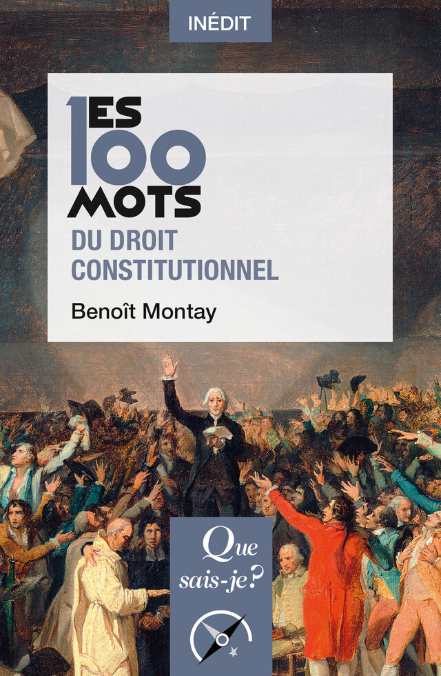 Les 100 mots du droit constitutionnel - Benoît Montay - Que sais-je ?