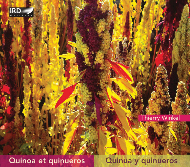 Quinoa et quinueros - Thierry Winkel - IRD Éditions