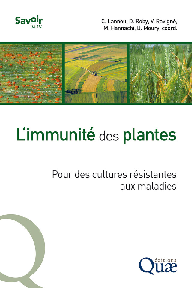 L'immunité des plantes - Christian Lannou, Dominique Roby, Virginie Ravigné, Mourad Hannachi, Benoît Moury - Quæ