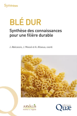 Blé dur