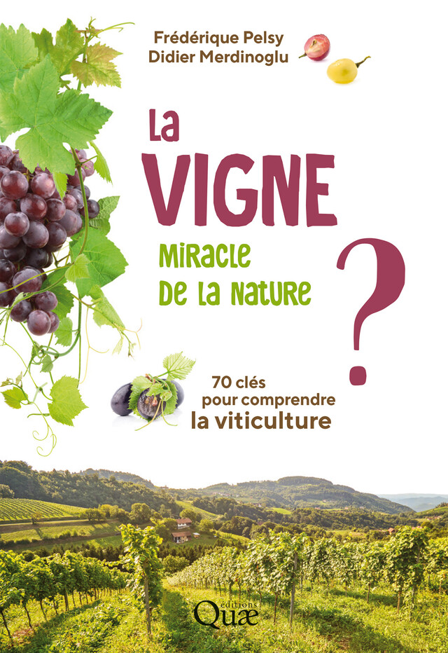 La vigne, miracle de la nature ? - Frédérique Pelsy, Didier Merdinoglu - Quæ