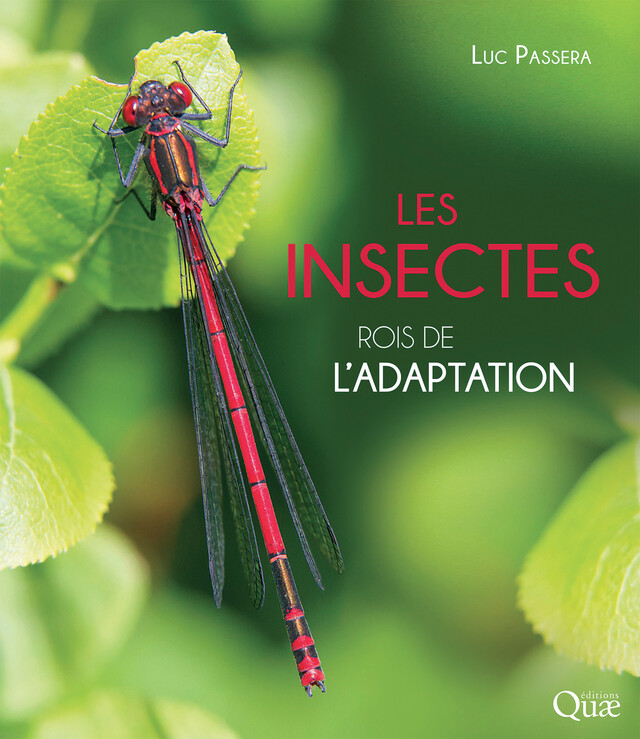 Les insectes, rois de l'adaptation - Luc Passera - Quæ