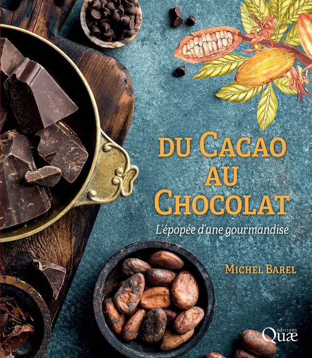 Du cacao au chocolat - Michel Barel - Quæ