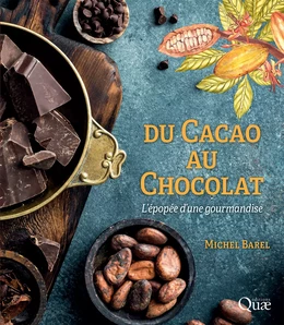 Du cacao au chocolat