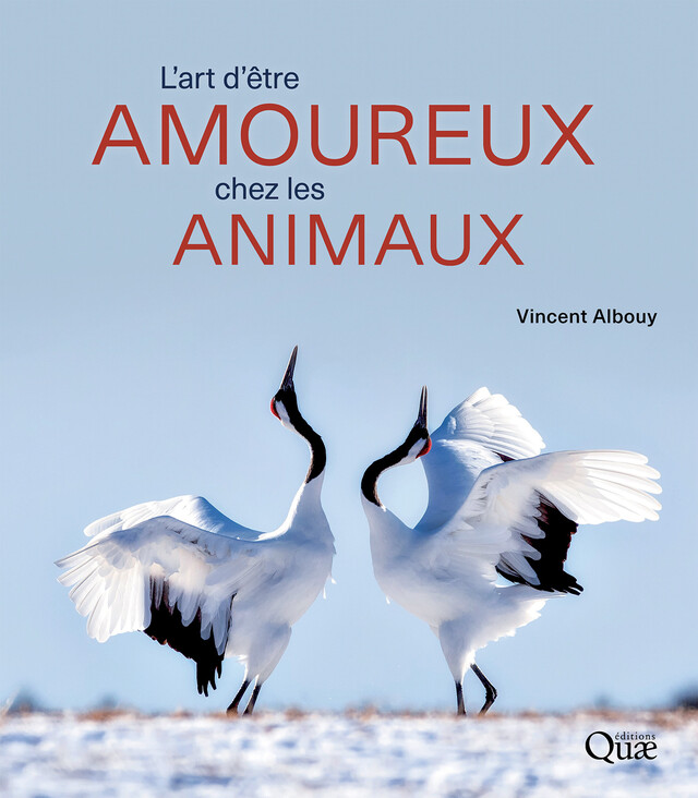 L'art d'être amoureux chez les animaux - Vincent Albouy - Quæ