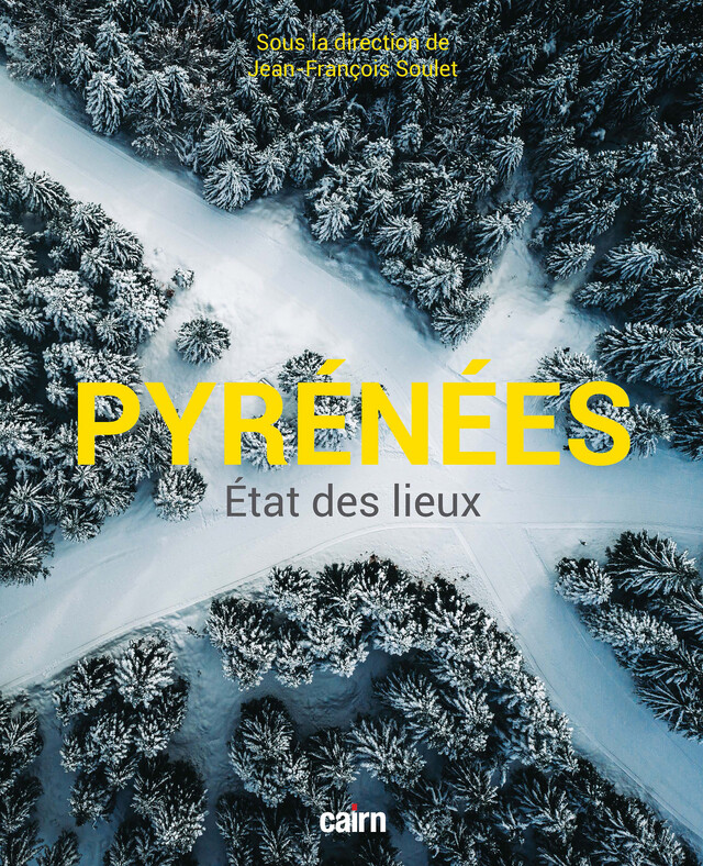 Pyrénées - État des lieux - Jean-François Soulet - Cairn