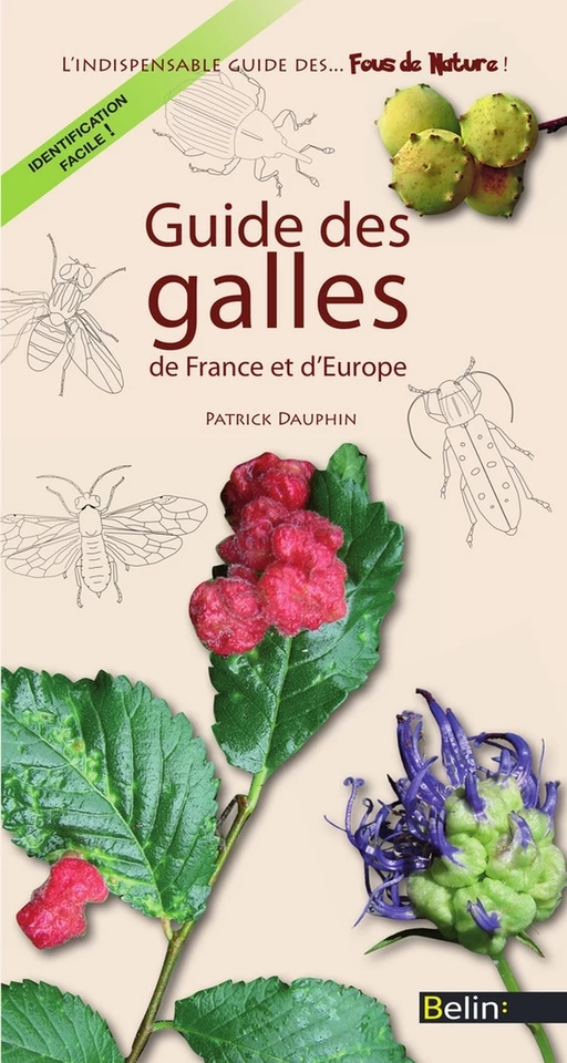 Guide des galles de France et d'Europe - Patrick DAUPHIN - Humensis