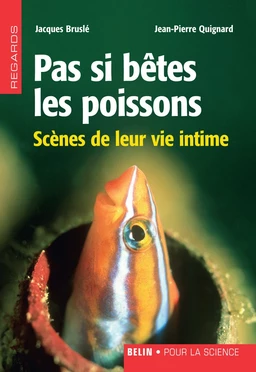 Pas si bêtes les poissons