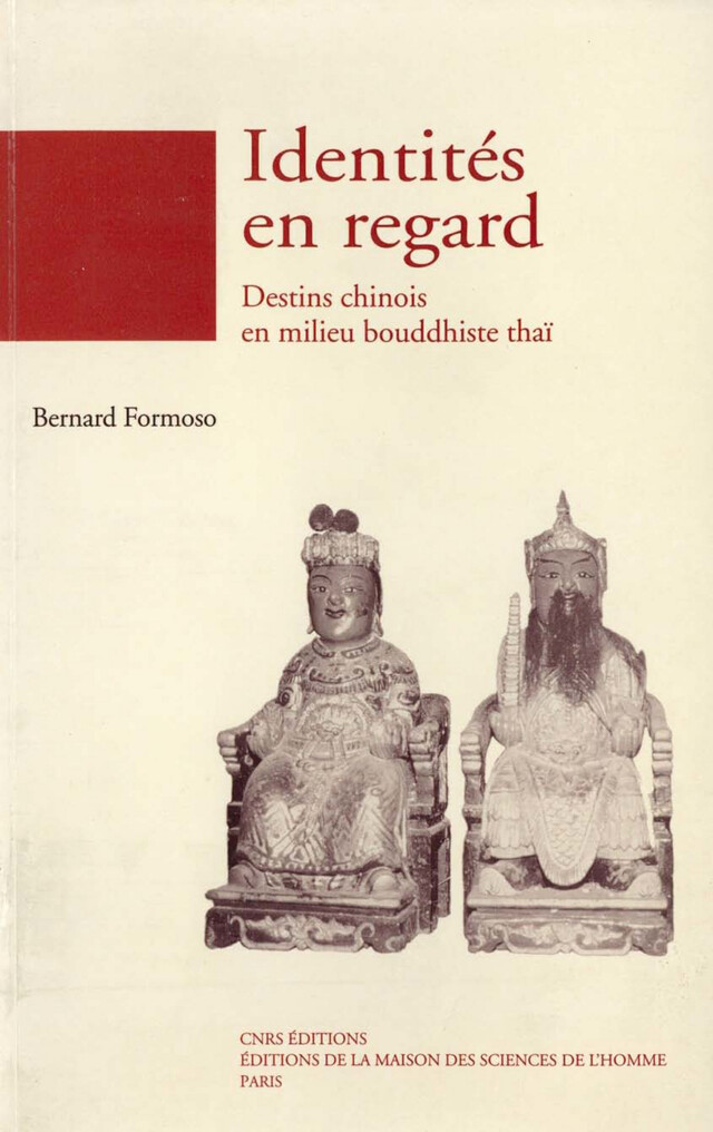Identités en regard - Bernard Formoso - Éditions de la Maison des sciences de l’homme