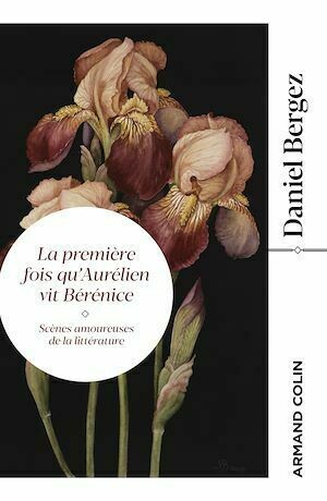 La première fois qu'Aurélien vit Bérénice - Daniel Bergez - Armand Colin