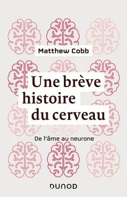 Une brève histoire du cerveau