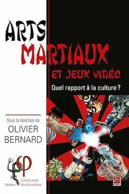 Arts martiaux et jeux vidéo. Quel rapport à la culture ?