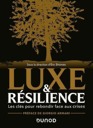 Luxe et résilience - Eric Briones (dit Darkplanneur) - Dunod