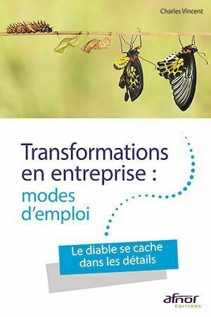 Transformations en entreprise : modes d’emploi - Charles Vincent - Afnor Éditions