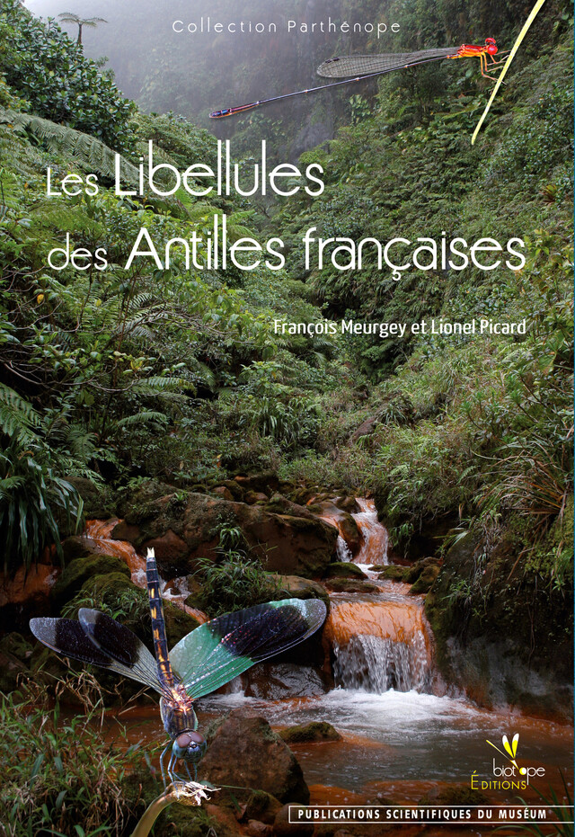 Les Libellules des Antilles françaises - François Meurgey, Lionel Picard - BIOTOPE