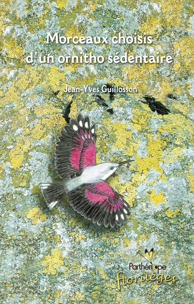 Morceaux choisis d'un ornitho sédentaire - Jean-Yves Guillosson - BIOTOPE