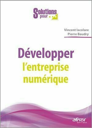 Développer l'entreprise numérique - Vincent Iacolare, Pierre Baudry - Afnor Éditions