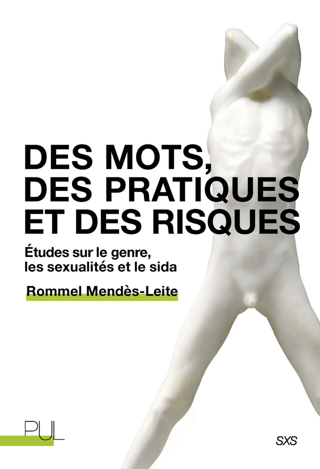 Des mots, des pratiques et des risques - Rommel Mendès-Leite - Presses universitaires de Lyon