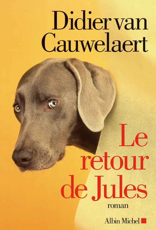 Le Retour de Jules - Didier Van Cauwelaert - Albin Michel