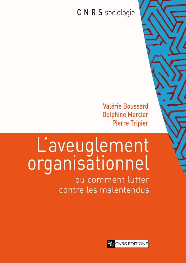 L’aveuglement organisationnel - Delphine Mercier, Valérie Boussard, Pierre Tripier - CNRS Éditions via OpenEdition